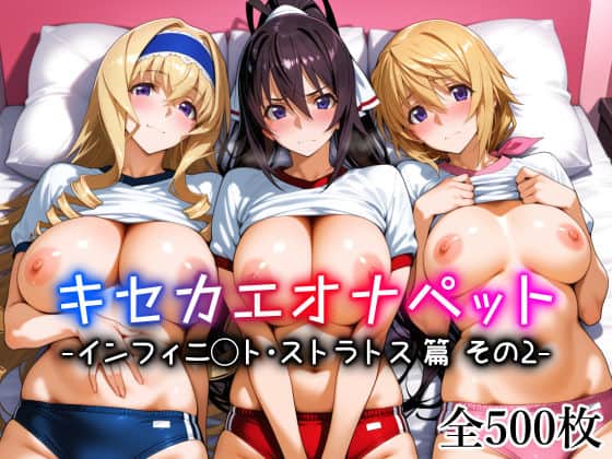 【キセカエオナペット -インフィニ◯ト・ストラトス篇 その2-】愛玩ファクトリー＠